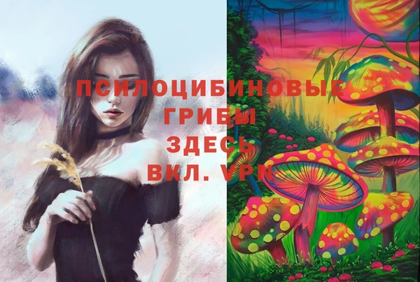 a pvp Бугульма
