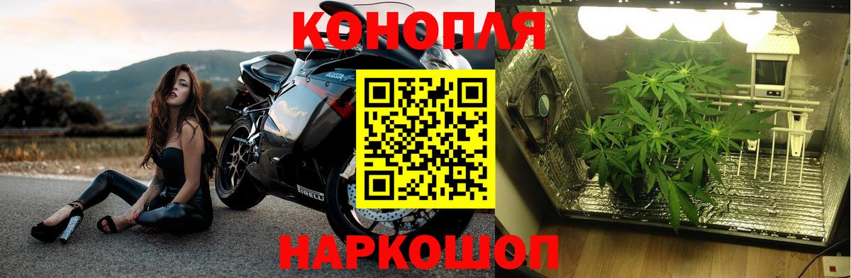 Конопля THC 21% Дальнегорск